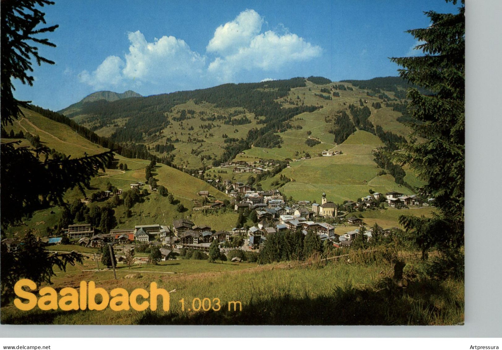 AK - Saalbach - 1981 - 10x 15cm - #AK1164# - Saalbach