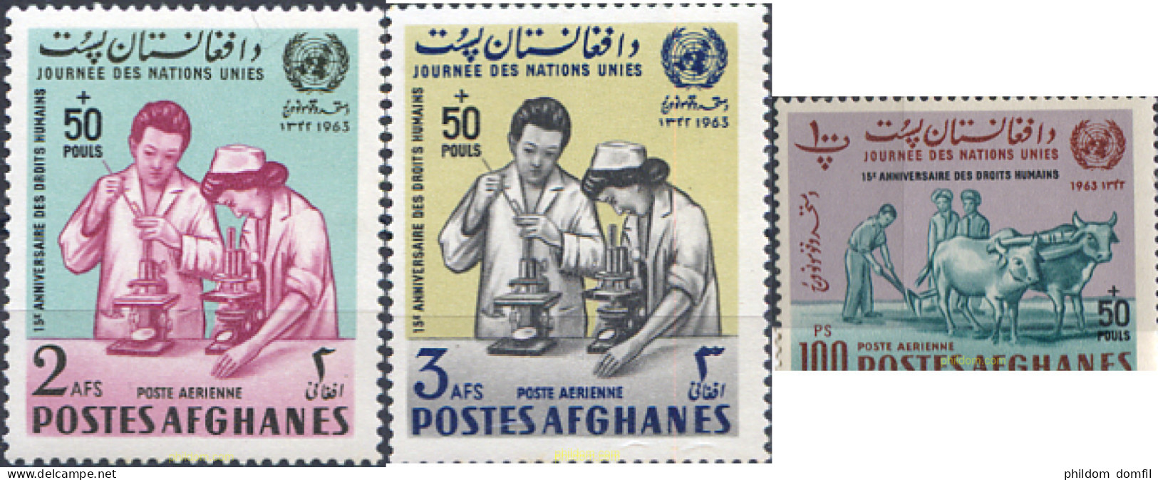 679137 MNH AFGANISTAN 1964 15 ANIVERSARIO DE LA DECLATACION UNIVERSAL DE LOS DERECHOS DEL HOMBRE - Afghanistan