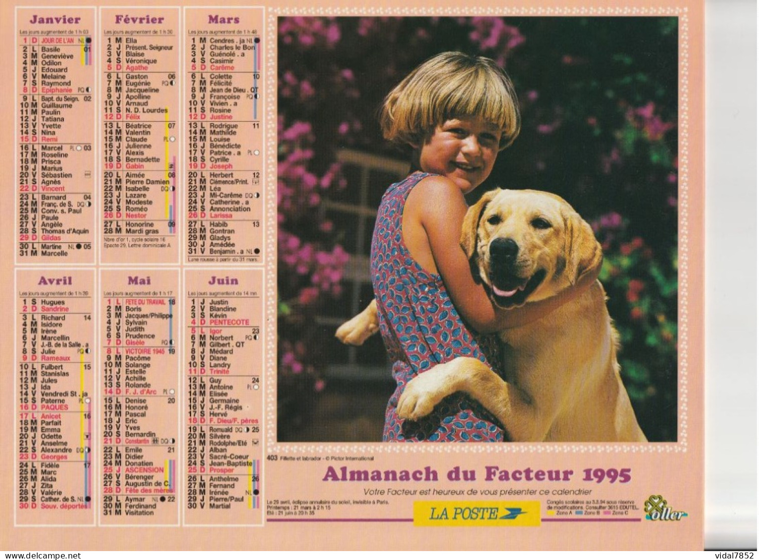 Calendrier-Almanach Des P.T.T 1995 -Fillette Et Labrador- Fillette Et Cheval Blanc-Département AIN-01-Référence 403 - Tamaño Grande : 1991-00