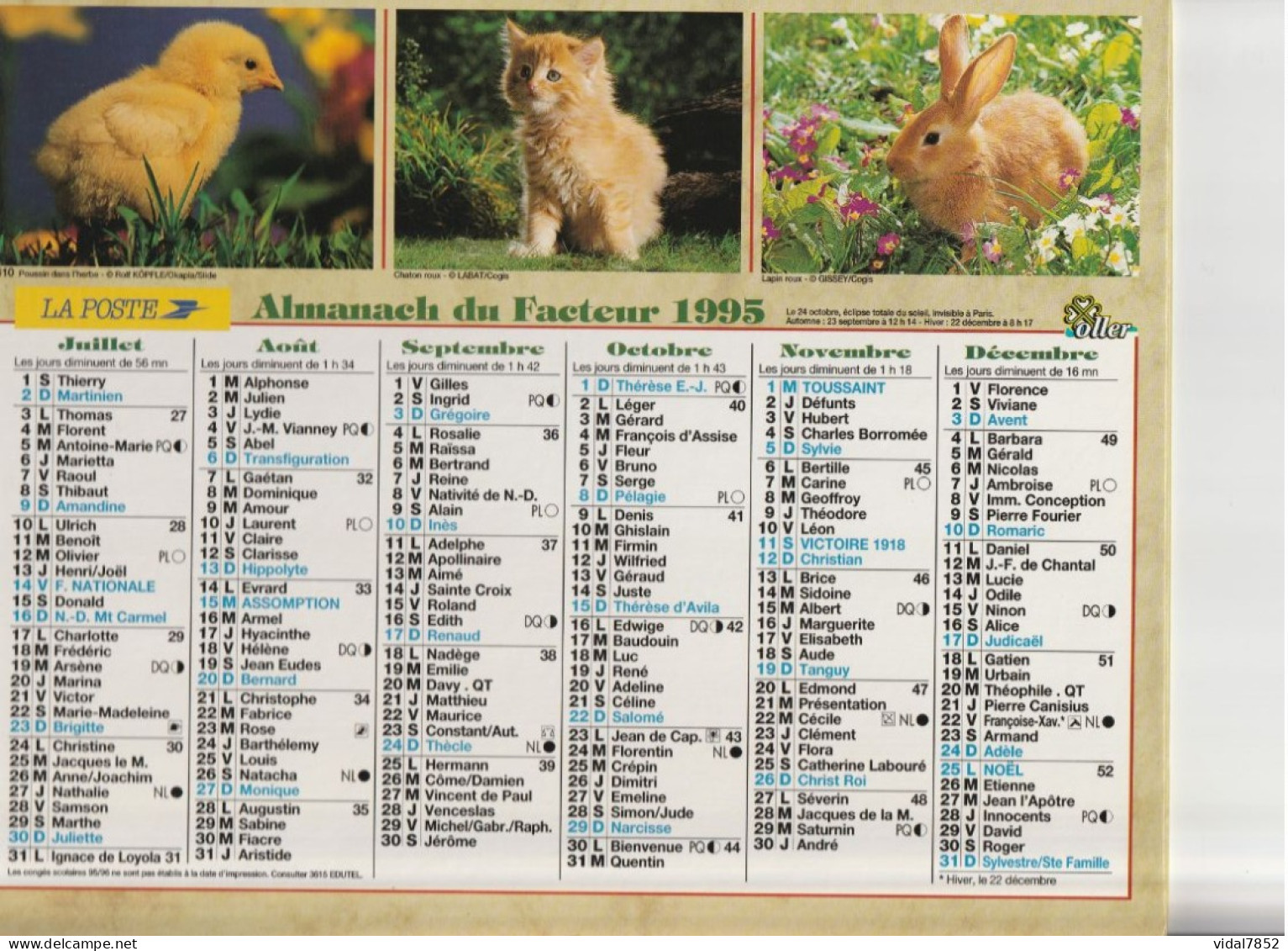 Calendrier-Almanach Des P.T.T 1995 -Jeune Poulain- Poussin -Département AIN-01-Référence 410 - Big : 1991-00