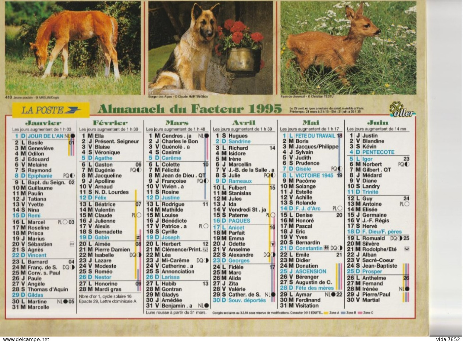 Calendrier-Almanach Des P.T.T 1995 -Jeune Poulain- Poussin -Département AIN-01-Référence 410 - Grossformat : 1991-00