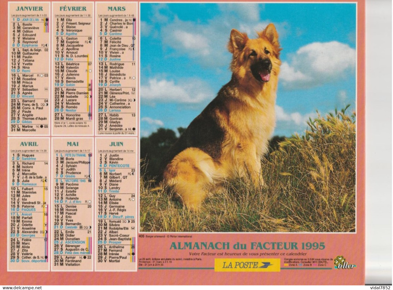 Calendrier-Almanach Des P.T.T 1995 -Berger Allemand- Jeunes Labradors -Département AIN-01-Référence 405 - Groot Formaat: 1991-00