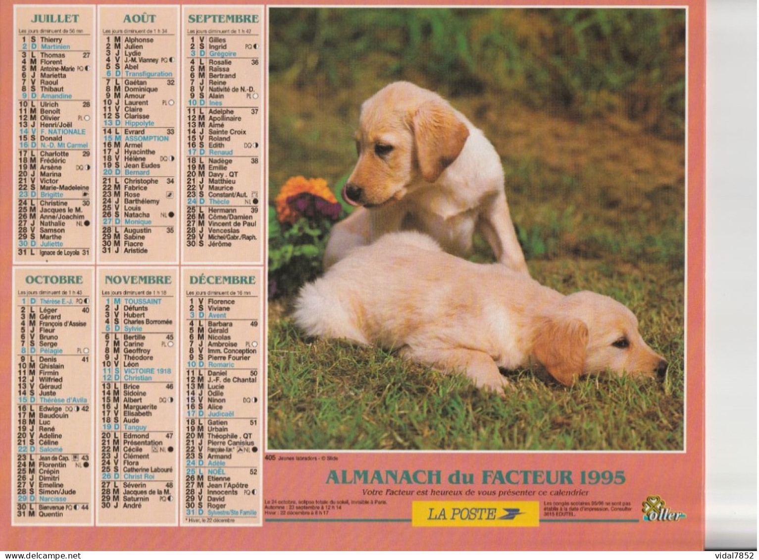 Calendrier-Almanach Des P.T.T 1995 -Berger Allemand- Jeunes Labradors -Département AIN-01-Référence 405 - Grand Format : 1991-00