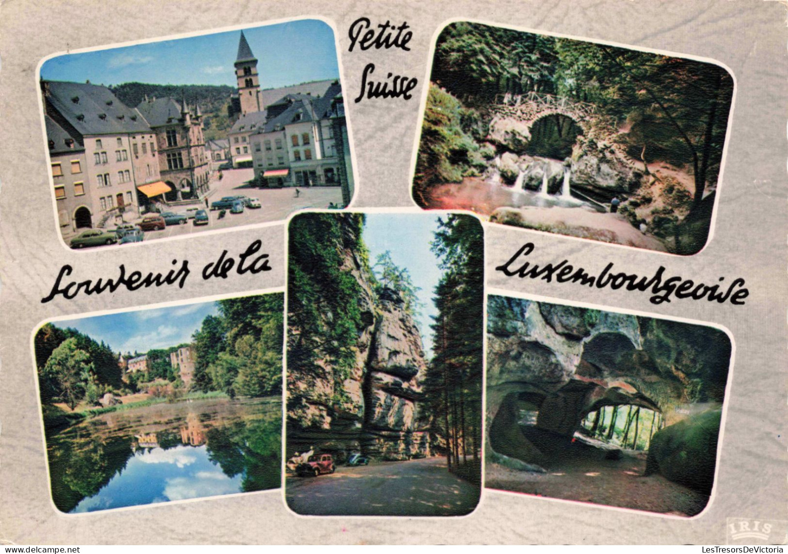 LUXEMBOURG - Souvenir De La Petite Suisse Luxembourgeoise - Carte Postale Ancienne - Otros & Sin Clasificación