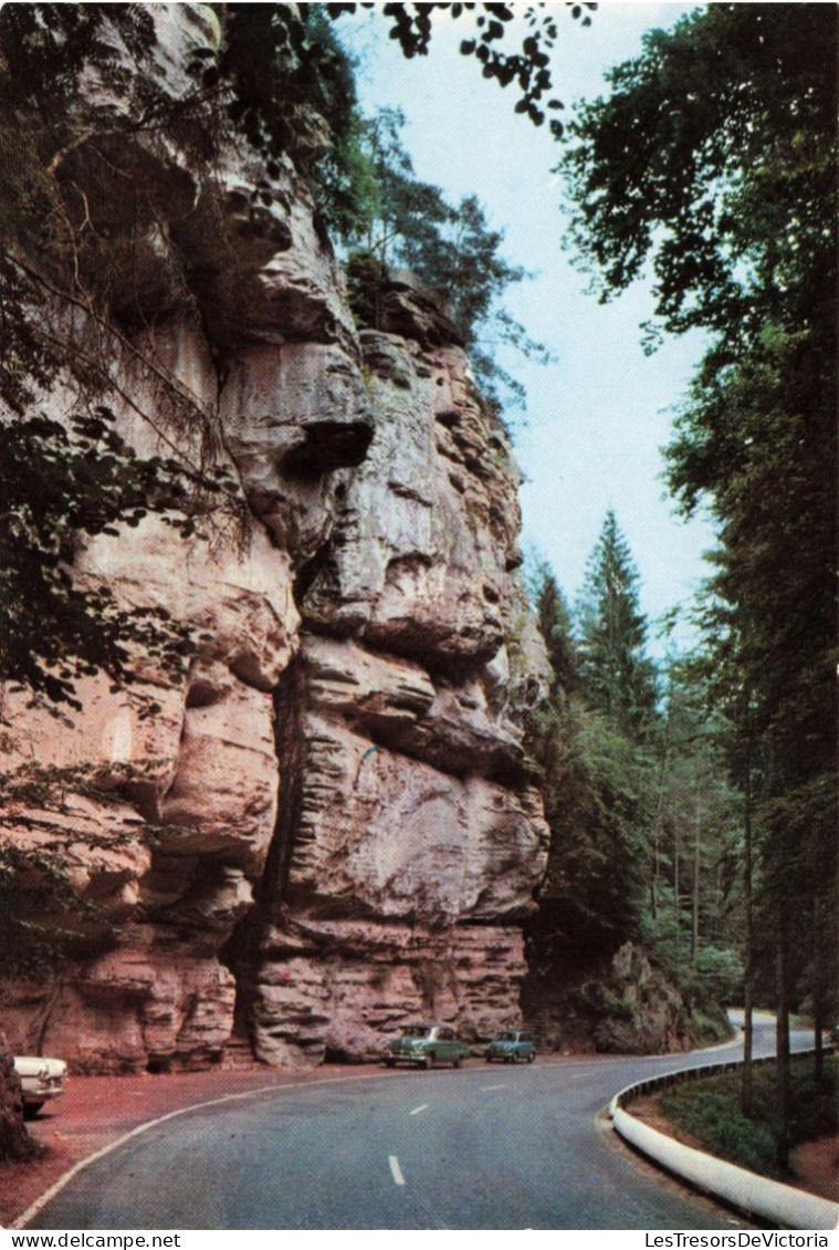 LUXEMBOURG - Echternach - Petite Suisse Luxembourgeoise - Le Pérékopp - Carte Postale Ancienne - Echternach