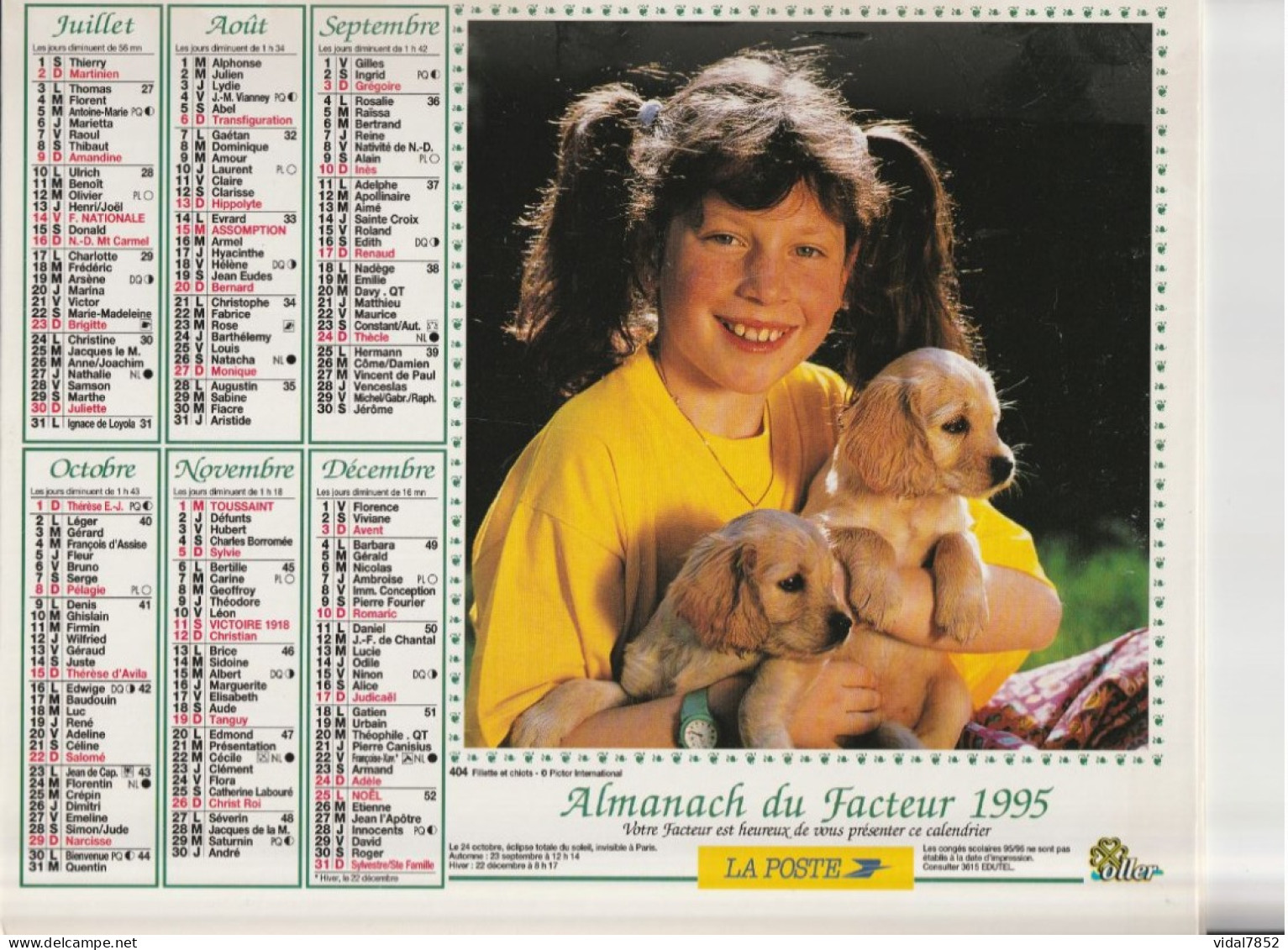 Calendrier-Almanach Des P.T.T 1995 -Lapins - Fillette Et Chiots -Département AIN-01-Référence 404 - Big : 1991-00