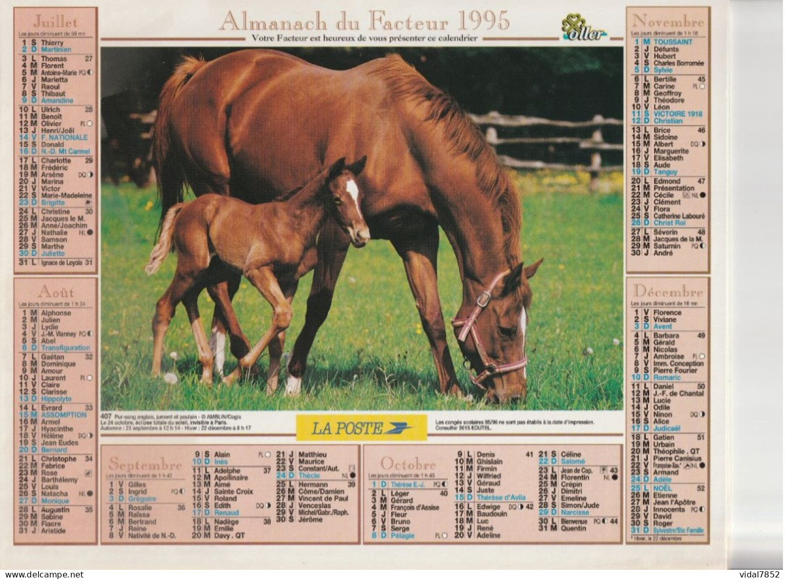 Calendrier-Almanach Des P.T.T 1995 -Cheval Brun - Pur Sang Anglais -Département AIN-01-Référence 407 - Grand Format : 1991-00