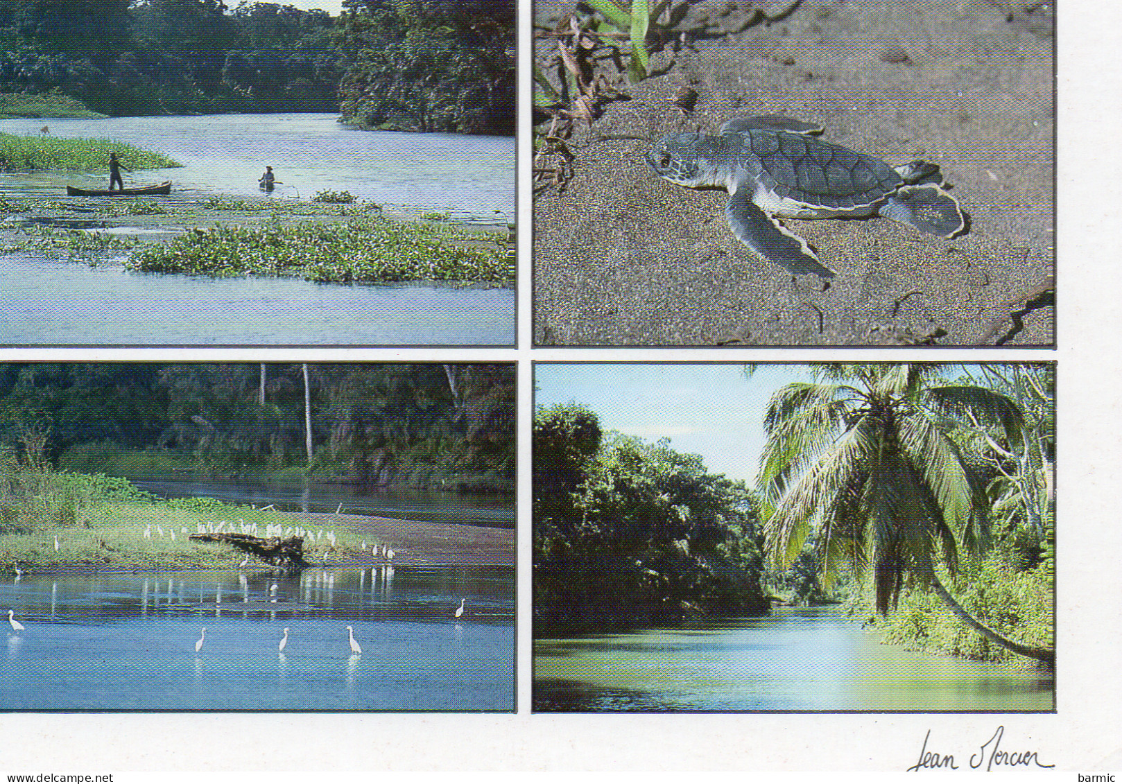 COSTA RICA, MULTIVUE, PARQUE NACIONAL TORTUGUERO, CANALES, PEQUENA TORTUGA VERDE COULEUR REF 13709 STV - Costa Rica