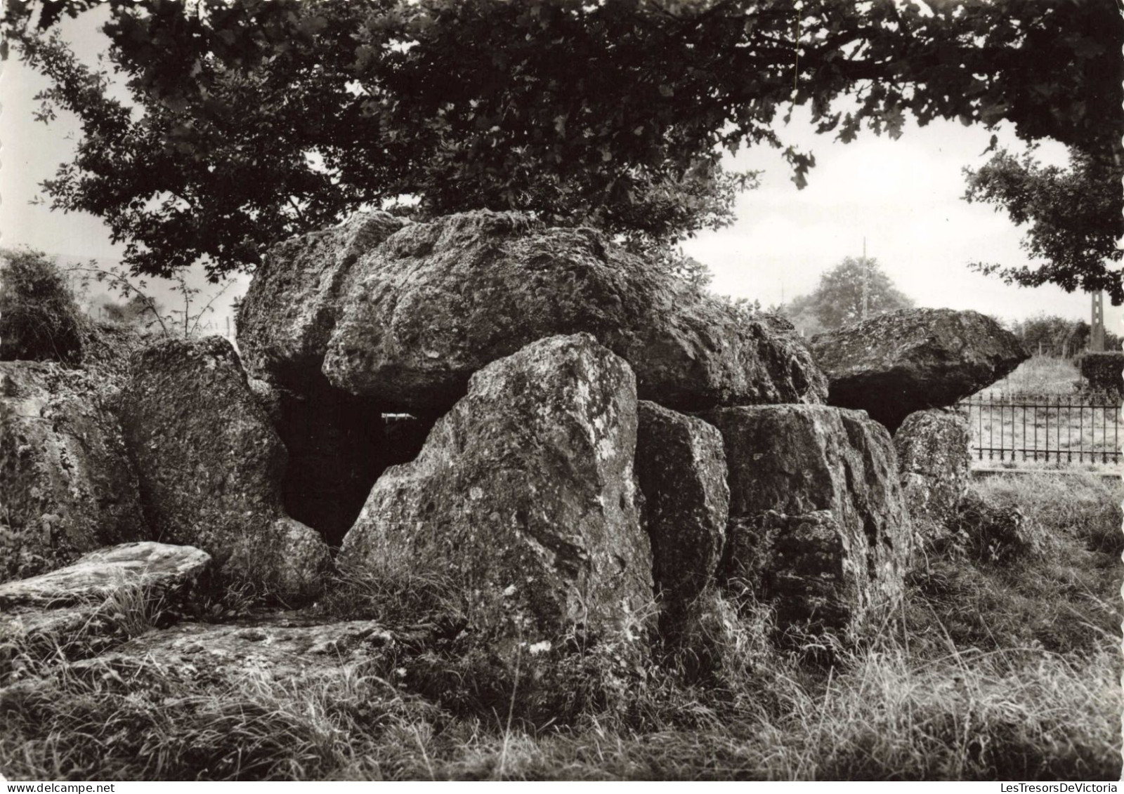 BELGIQUE - Barvaux Sur Ourthe - Les Environs Le Dolmen De Wéris - Carte Postale Ancienne - Sonstige & Ohne Zuordnung