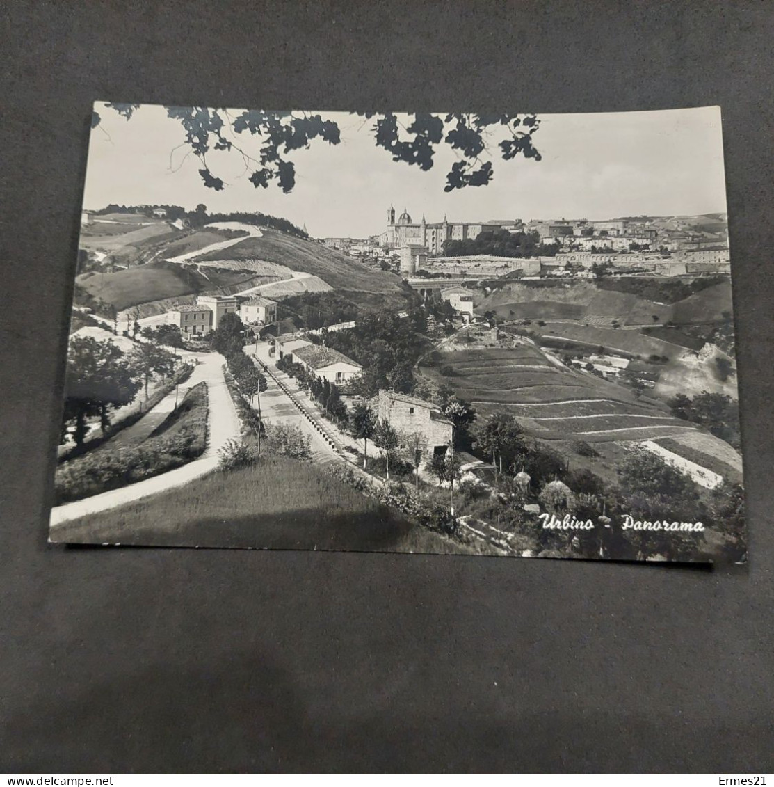 Cartolina Anni 50. Urbino. Veduta Panoramica.  Nuova. Condizioni Eccellenti. - Urbino