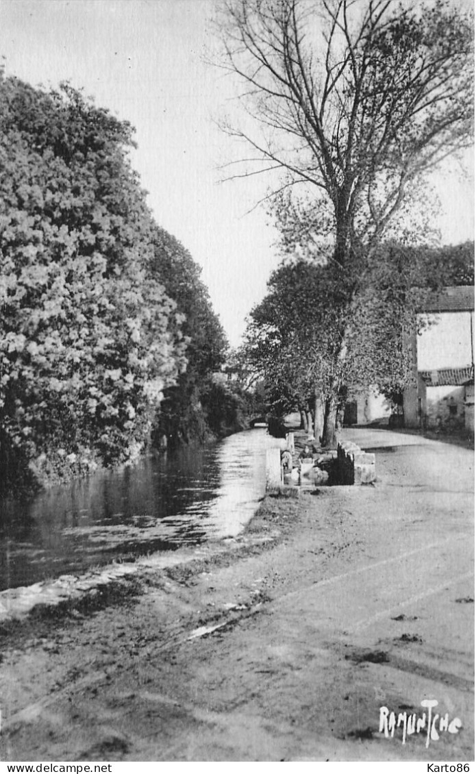 Mauzé Sur Le Mignon * CPA Couleur Verte * Un Lavoir ( Laveuse Lavandière Blanchisseuse ) Et Le Mignon - Mauze Sur Le Mignon