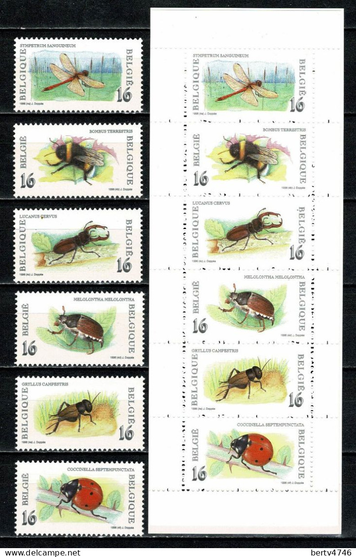 Belg. - 1996 Full Year MNH - 2624/80** + Bl 71/73** + B/C 27** Non Plié / Niet Geplooid (6 Scans) - Jahressätze