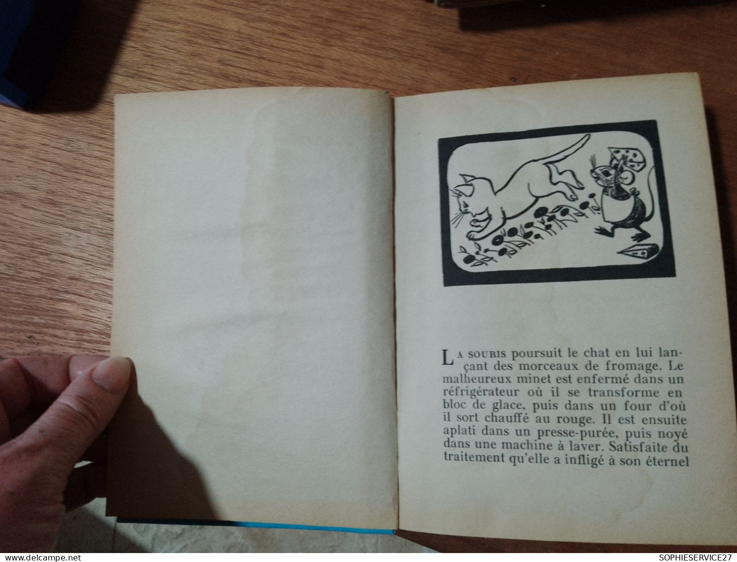 148 //  FANTOMETTE ET L'ILE DE LA SORCIERE PAR GEORGES CHAULET - Bibliotheque Rose