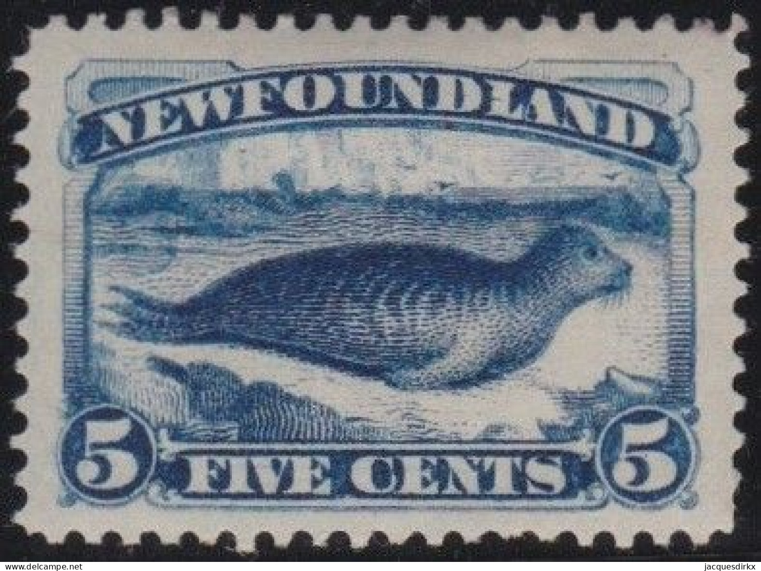 Newfoundland    .    SG   .    53 (2 Scans)   .    *     .   Mint-hinged - 1865-1902
