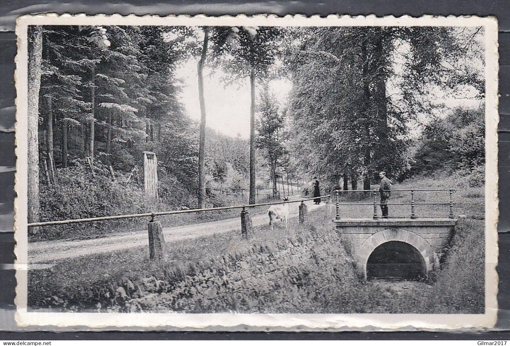 Postkaart Van Marche-En-Famenne Naar St Amand - 1935-1949 Kleines Staatssiegel