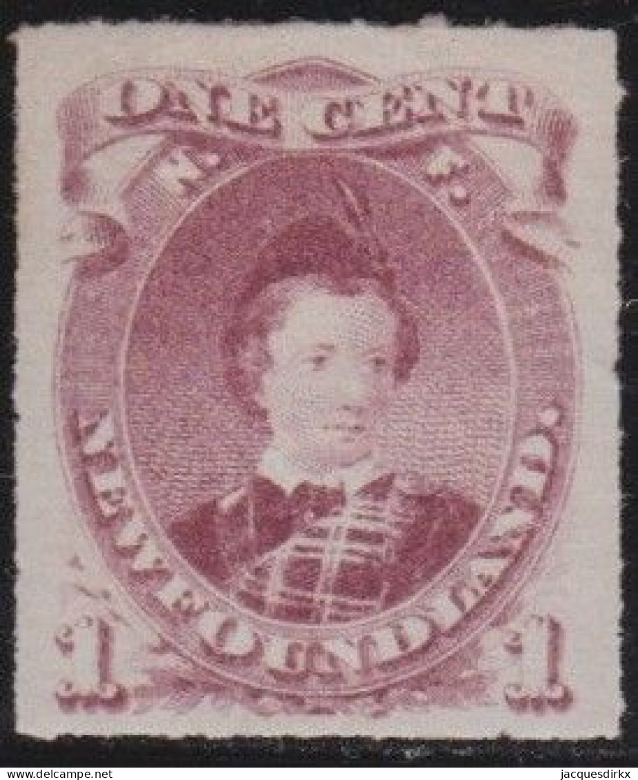 Newfoundland    .    SG   .    40 (2 Scans)   .    *     .   Mint-hinged - 1865-1902