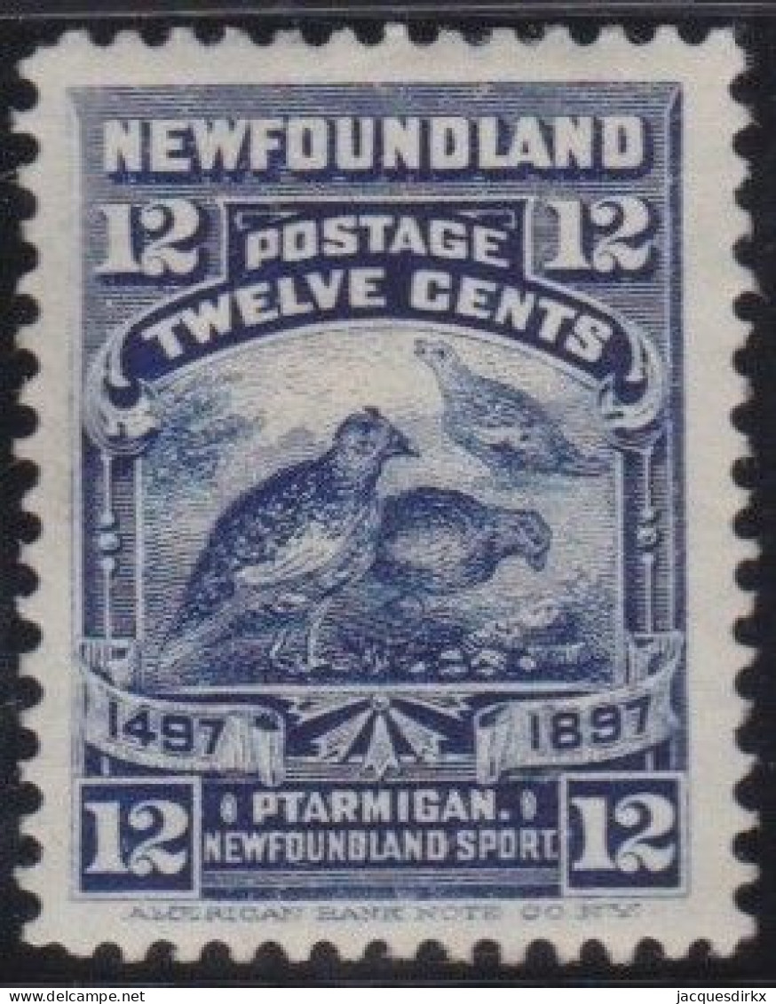 Newfoundland    .    SG   .    74  (2 Scans)     .    *     .   Mint-hinged - 1865-1902