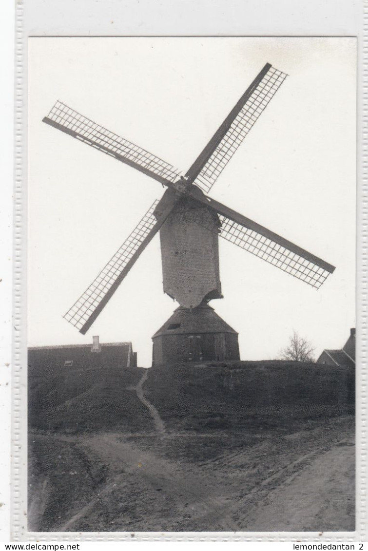 Oelegem. Molen Van Heylen. * - Ranst