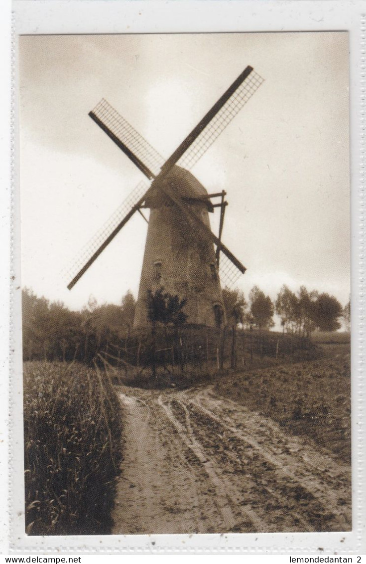 Oombergen. Molen De Gang. * - Zottegem