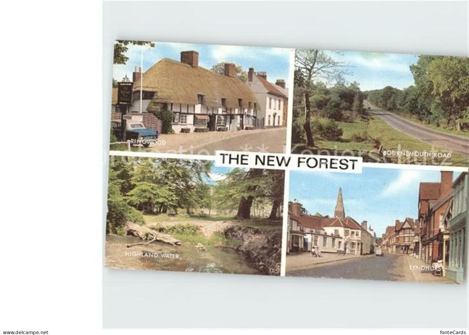 72299757 Southhampton The New Forest - Autres & Non Classés