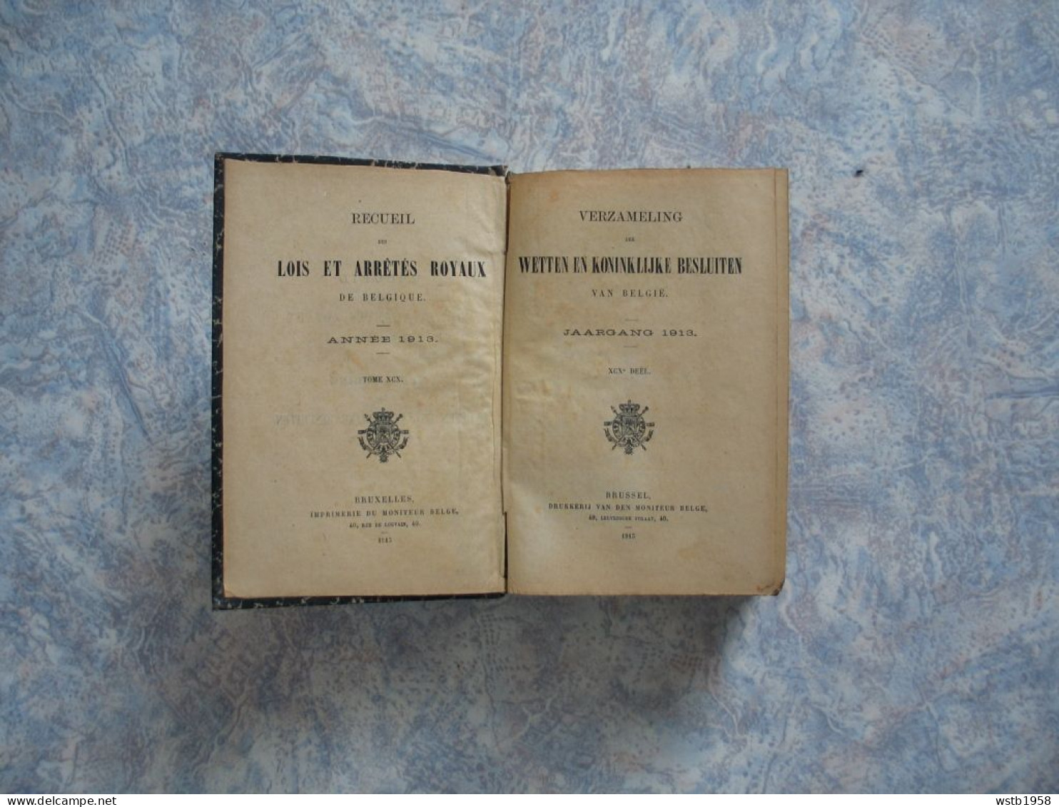 Sint-Truiden Saint-Trond Eerste Wereldoorlog 1913 1914 Wet Loi Provincie Stad De Pitteurs Brustem Duitse Inval Fruit - Libri Antichi