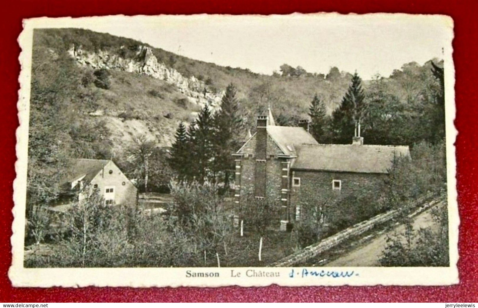 THON-SAMSON  -   Le Château  - - Andenne