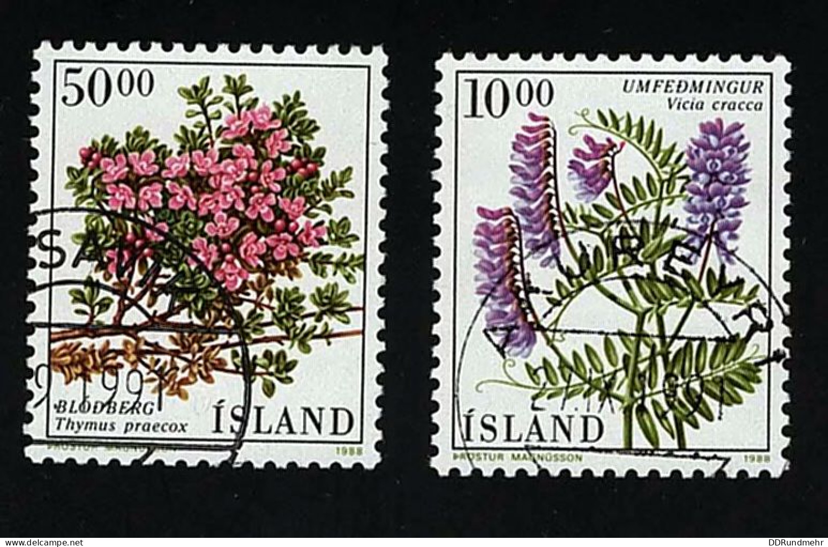 1988 Flowers  Michel IS 689 - 690 Stamp Number IS 663 - 664 Yvert Et Tellier IS 642 - 643 Used - Used Stamps