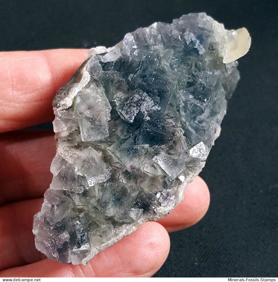 #Y21 - Beau FLUORINE Avec Calcite Cristaux (Coahuila, Mexique) - Minéraux