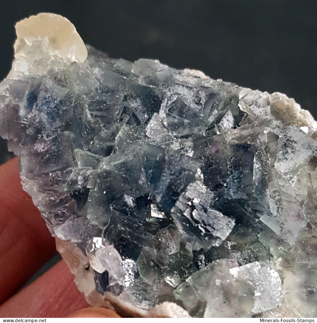 #Y21 - Beau FLUORINE Avec Calcite Cristaux (Coahuila, Mexique) - Minéraux