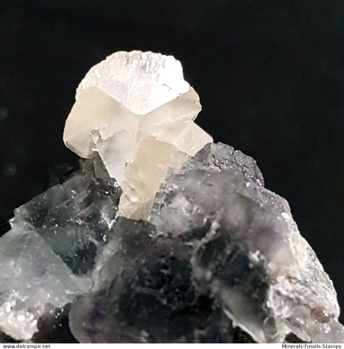 #Y21 - Beau FLUORINE avec Calcite cristaux (Coahuila, Mexique)