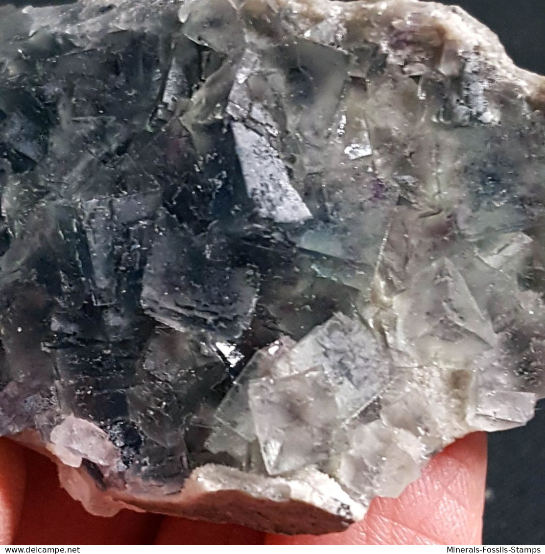 #Y21 - Beau FLUORINE avec Calcite cristaux (Coahuila, Mexique)