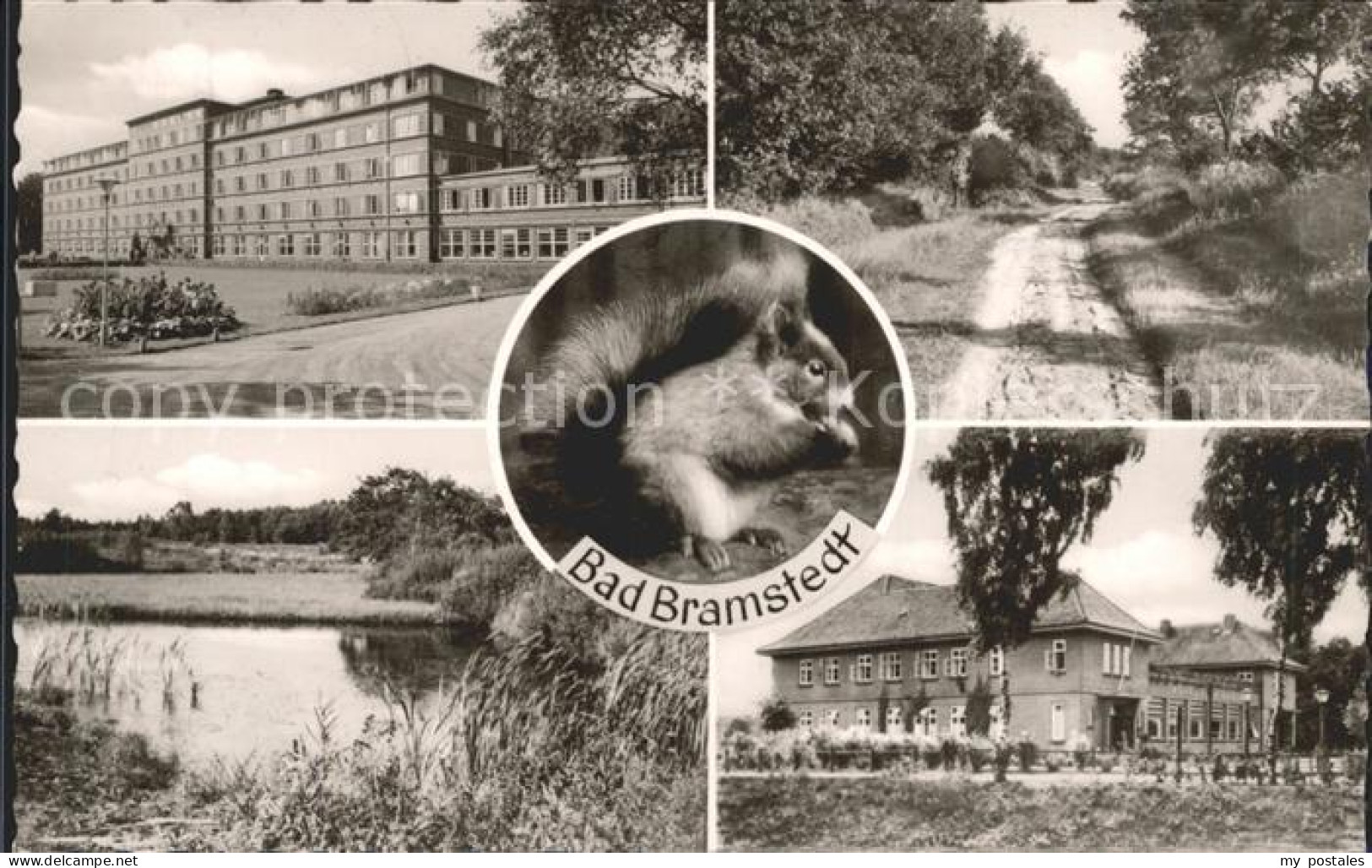 42074294 Bad Bramstedt Kurhaus Park Teich Eichhoernchen Bad Bramstedt - Bad Bramstedt