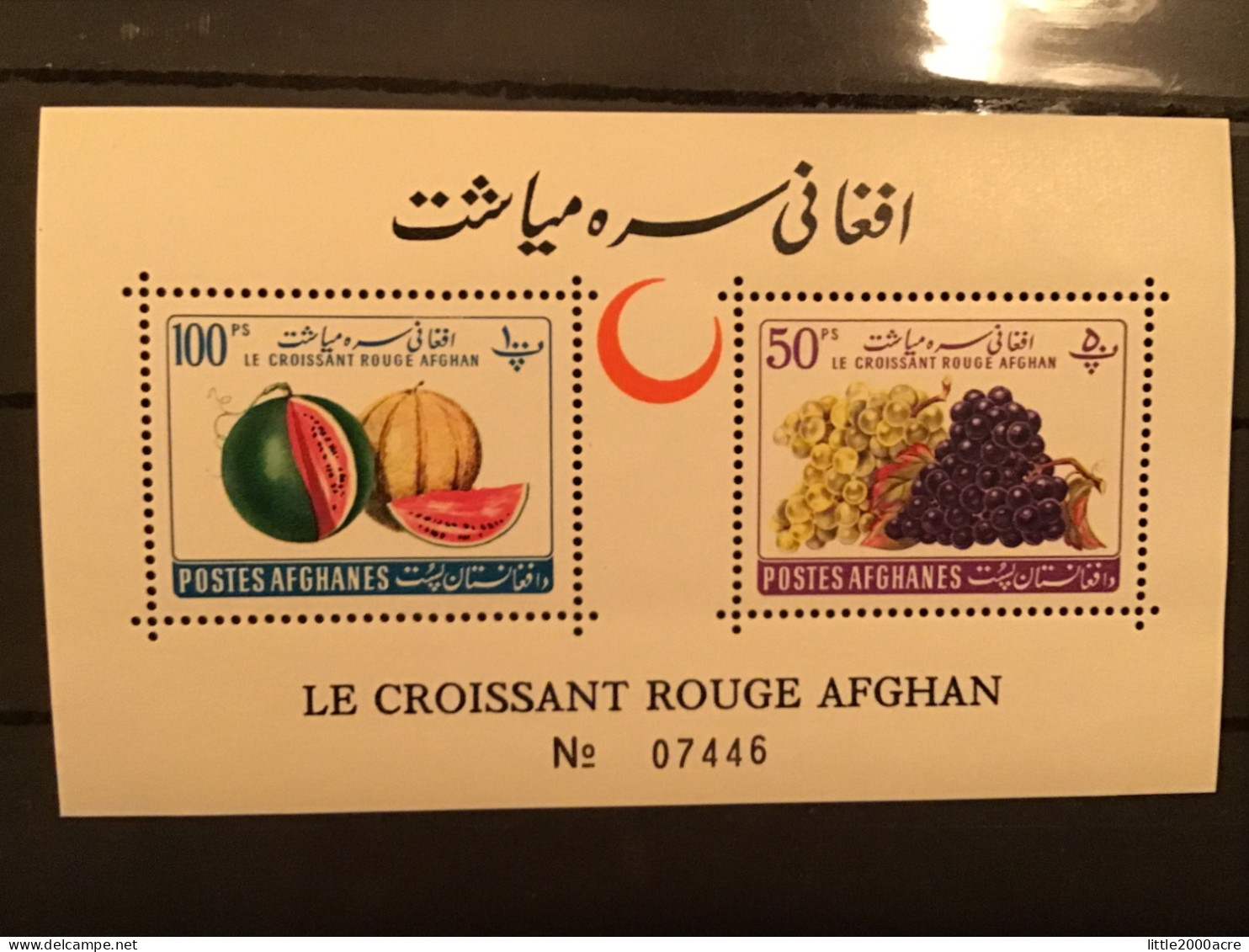 Afghanistan 1961 Red Crescent MNH M/S Yv BF15 - Afghanistan