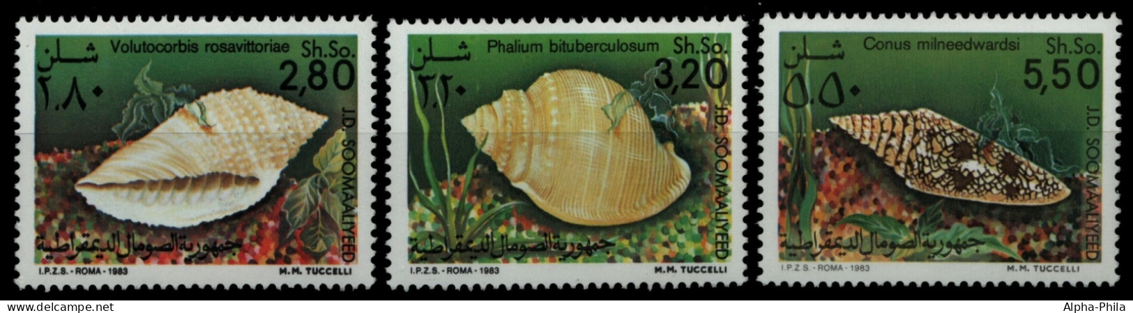 Somalia 1984 - Mi-Nr. 349-351 ** - MNH - Meeresschnecken / Marine Snails - Somalia (1960-...)