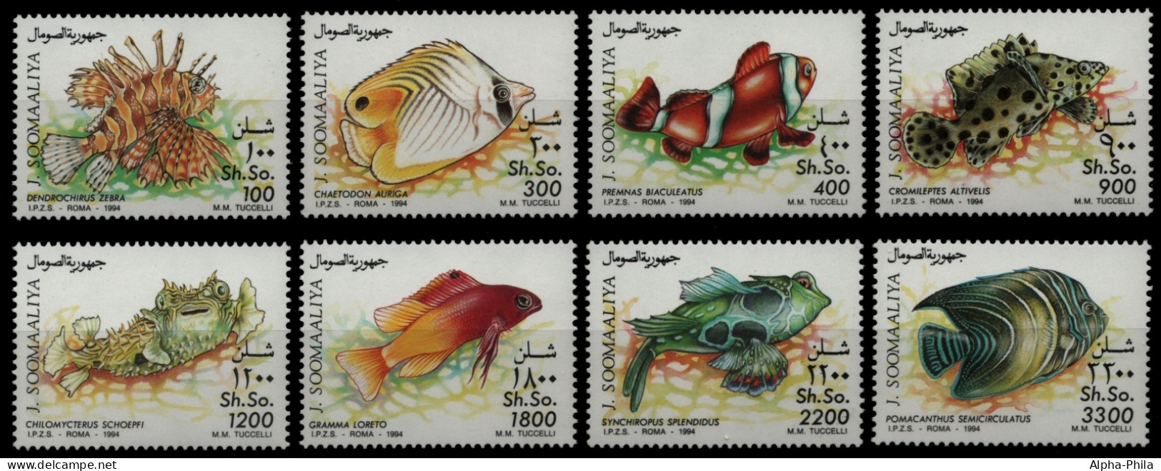 Somalia 1994 - Mi-Nr. 491-498 ** - MNH - Fische / Fish - Somalie (1960-...)