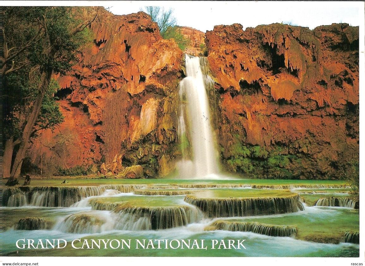 CPM - ETATS UNIS - GRAND CANYON NATIONAL PARK - HAVASU FALLS - USA Nationale Parken