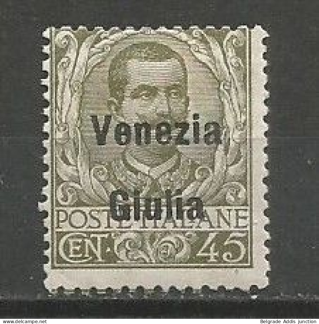 Italy Italia Venezia Giulia Sassone 26 MH / * 1918/19 - Vénétie Julienne
