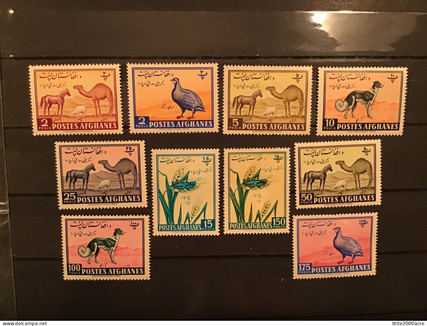 Afghanistan 1961 Animals And Fauna Mint - Afghanistan