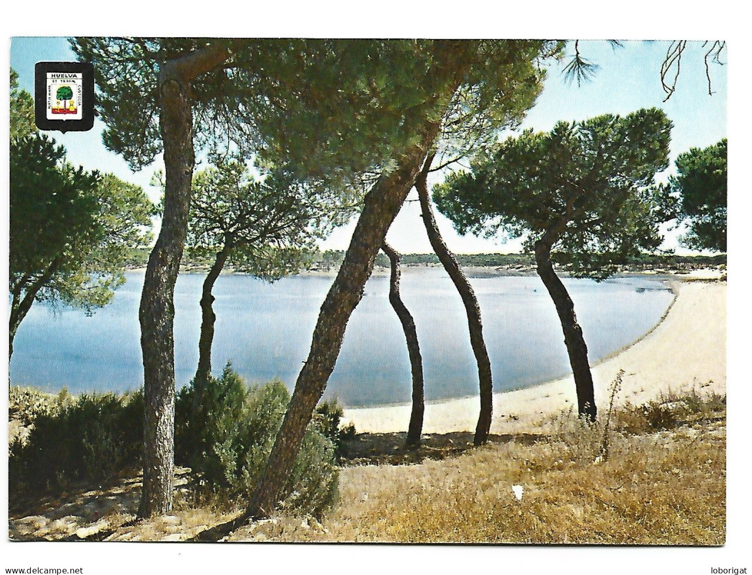 PLAYA DE PUNTA UMBRIA, LAGUNA DEL PORTIL / PUNTA UMBRIA BEACH, " PORTIL " LAGOON.- HUELVA - COSTA DEL SOL.- ( ESPAÑA ) - Huelva