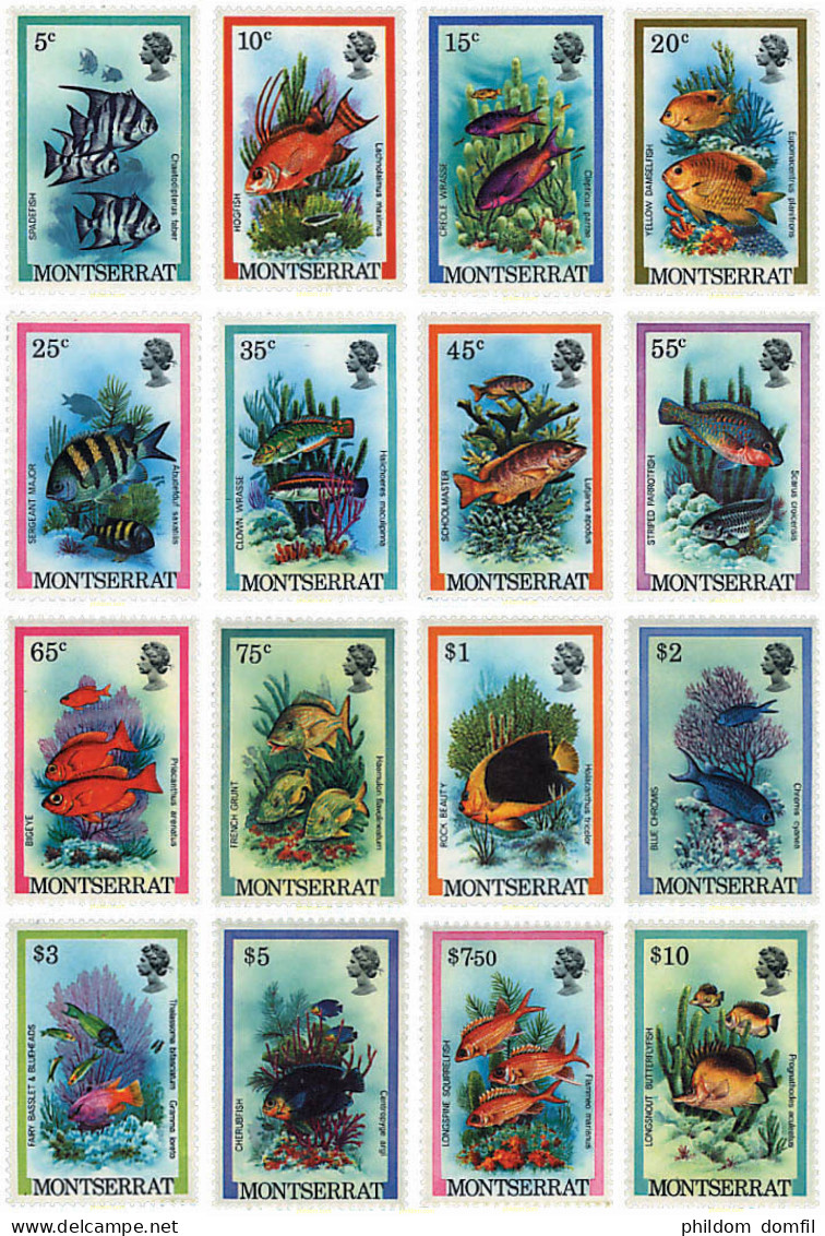 28466 MNH MONTSERRAT 1981 PECES - Montserrat