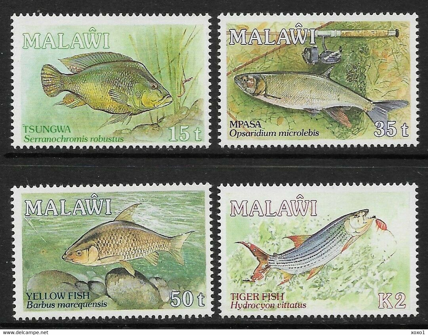 MALAWI 1989 MiNr. 525 - 528 Fishes  4v  MNH** 16,00 € - Malawi (1964-...)