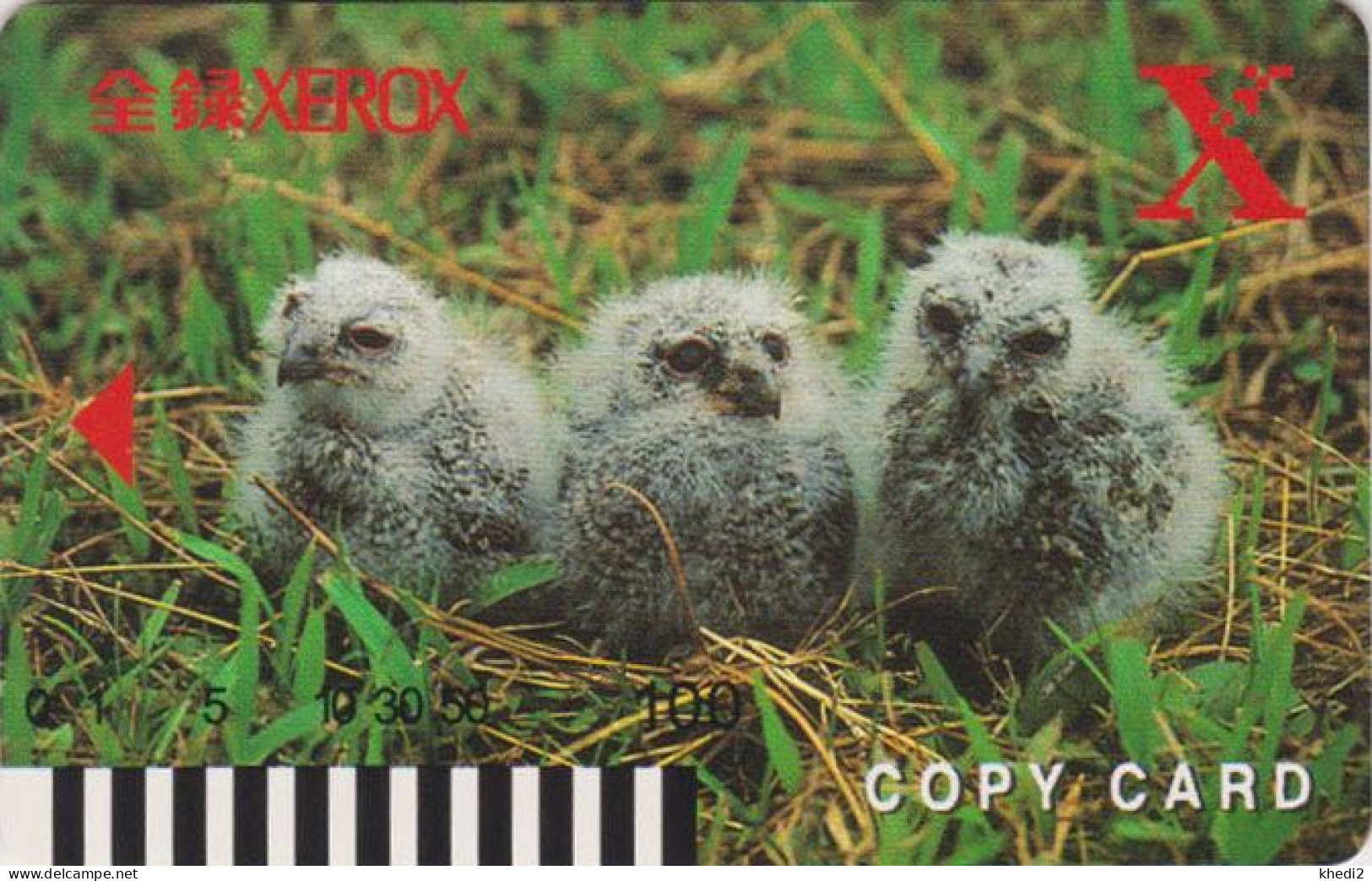 Rare Carte Prépayée JAPON  - Animal - OISEAU  - HIBOU - OWL BIRD JAPAN Prepaid Copy Card - 5829 - Hiboux & Chouettes