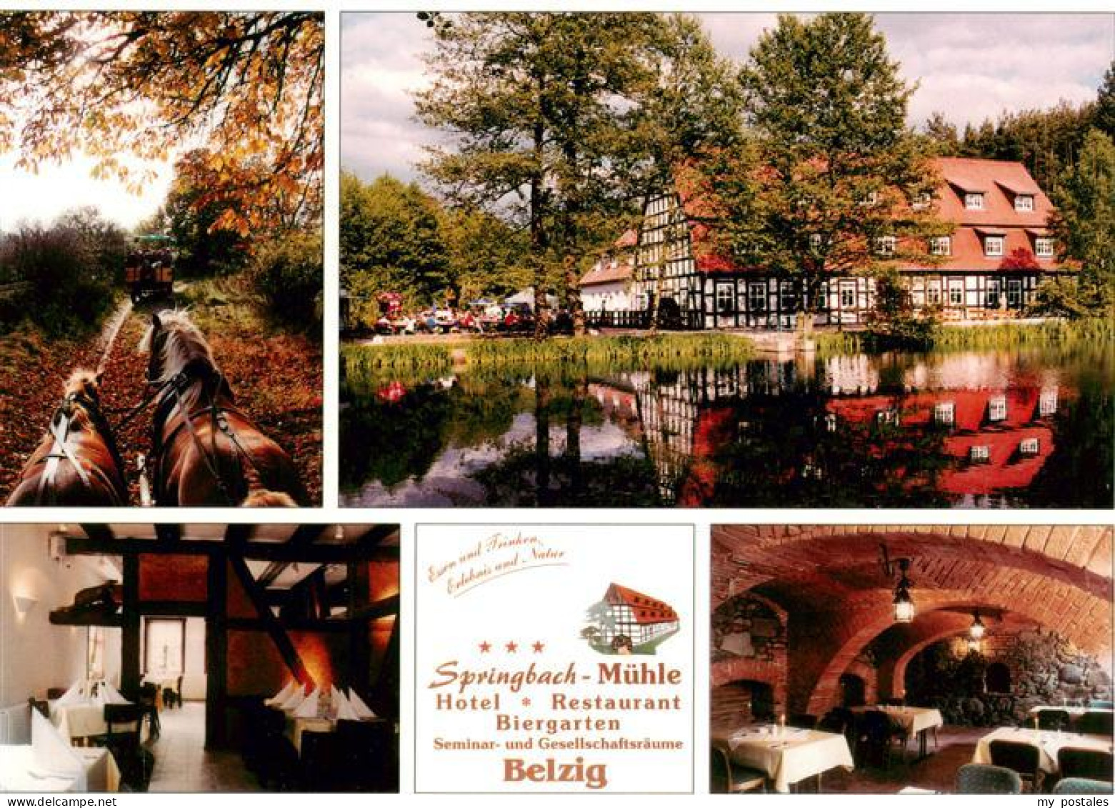 73906687 Belzig Bad Springbachmuehle Hotel Restaurant Biergarten Pferdekutschen - Belzig