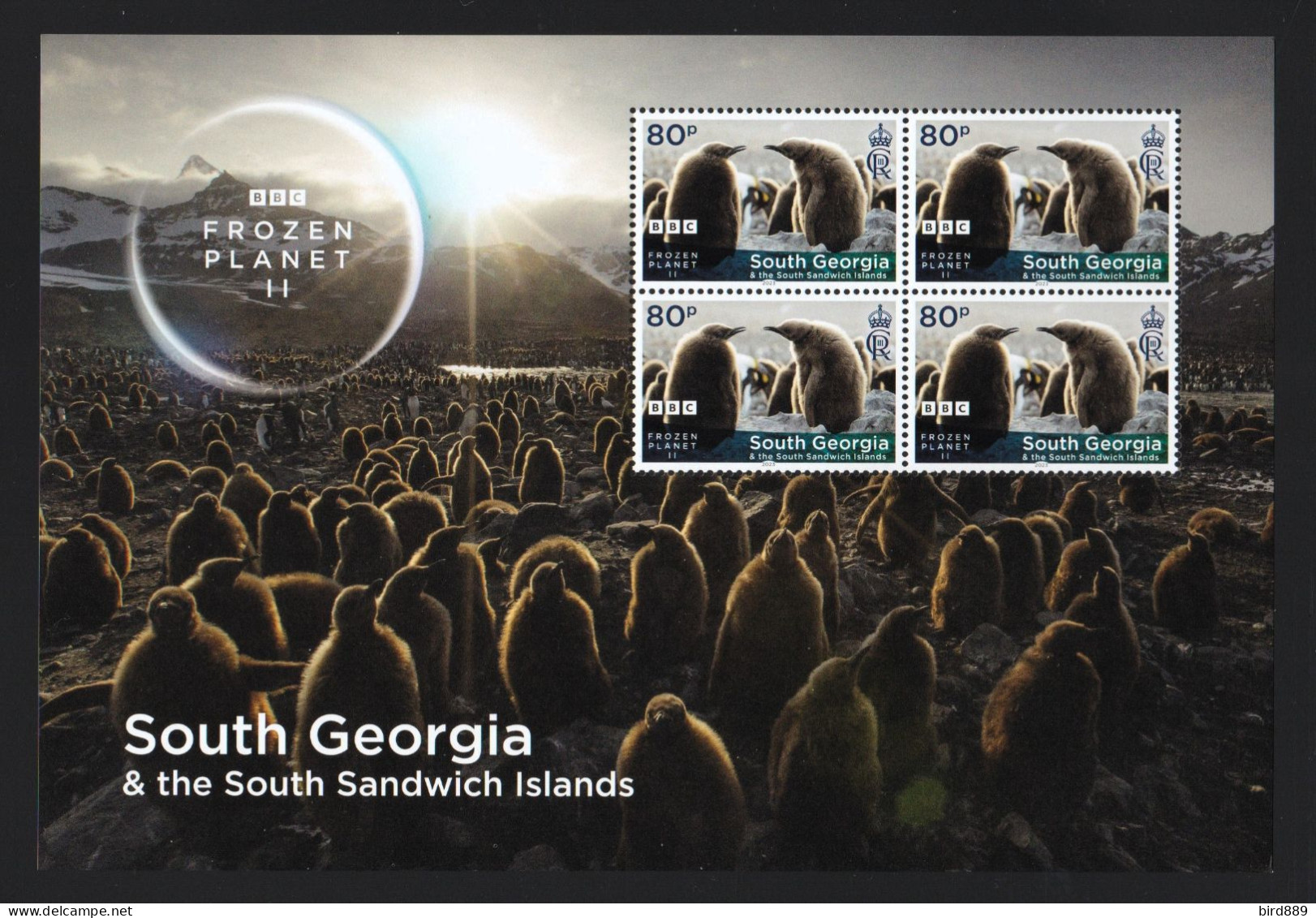 2023 South Georgia & The South Sandwich Islands Fauna Nature Bird Frozen Planet II 4 Sheets Of 4 MNH - Géorgie Du Sud