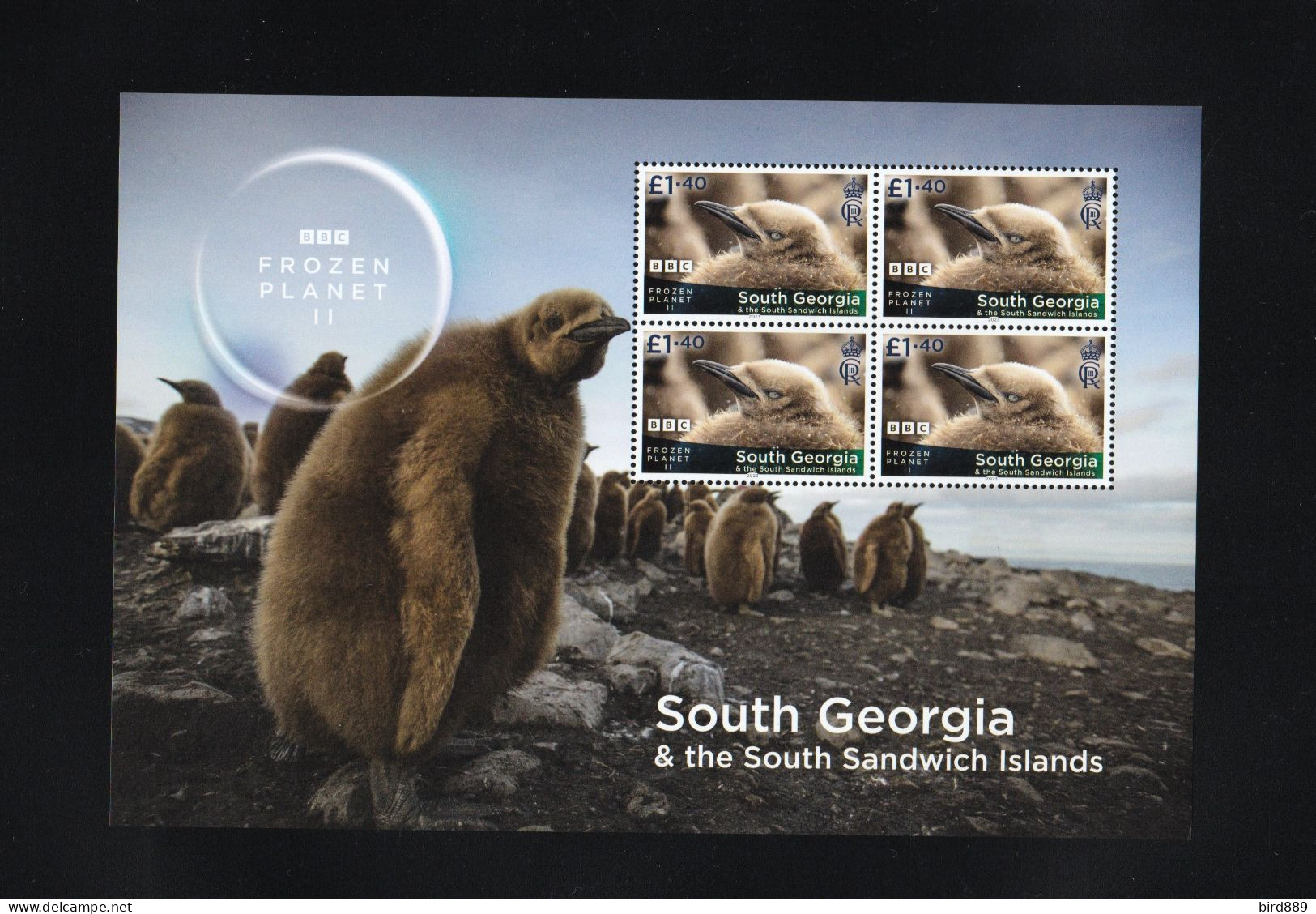 2023 South Georgia & The South Sandwich Islands Fauna Nature Bird Frozen Planet II 4 Sheets Of 4 MNH - Géorgie Du Sud