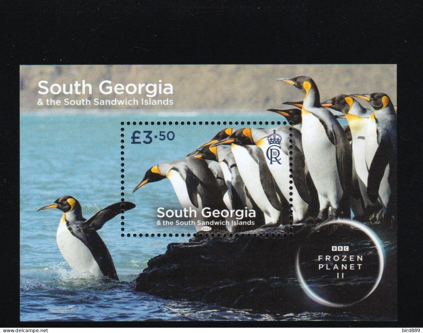 2023 South Georgia & The South Sandwich Islands Fauna Nature Bird King Penguin Frozen Planet II Mini Sheet MNH - Südgeorgien