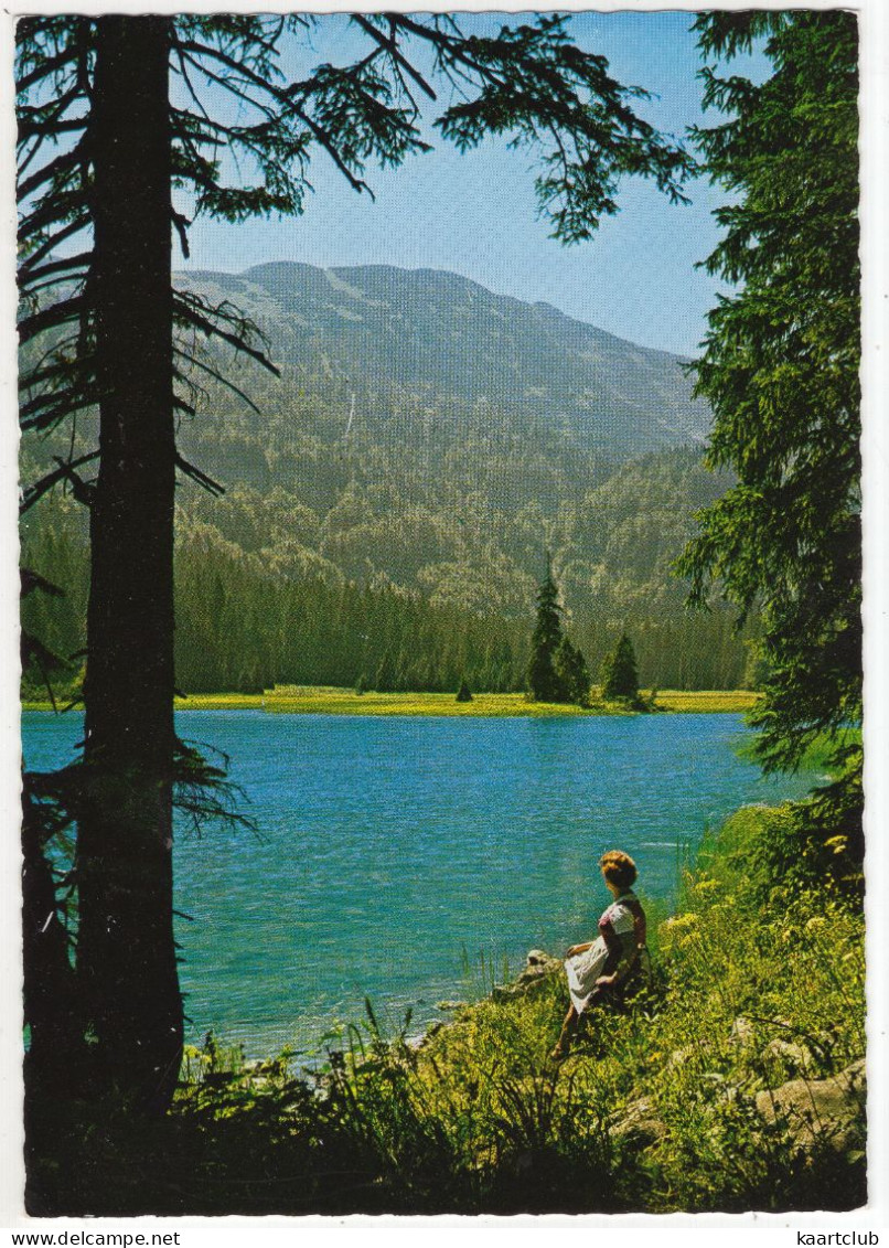 Lunz Am See - Obersee Mit Dürrenstein, 1877 M - (N.Ö., Österreich/Austria) - Lunz Am See