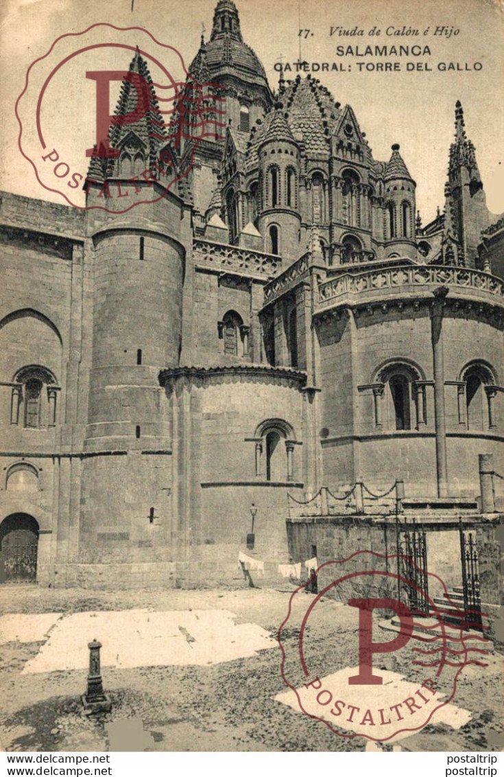 Salamanca La Catedral Torre Del Gallo Castilla Y León. España Spain - Salamanca