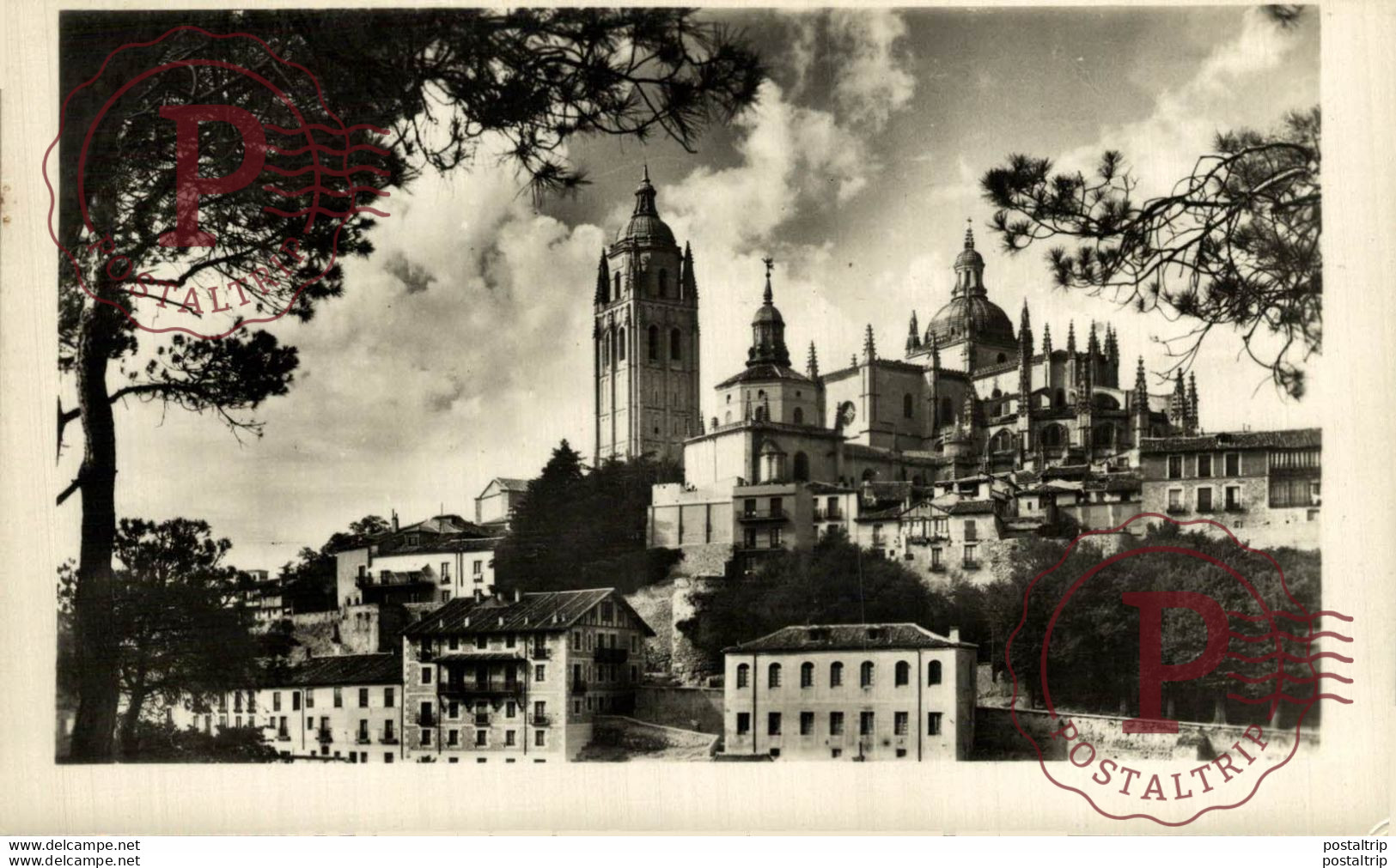 Segovia La Catedral Vista Tomada Desde El Pinar  Castilla Y León. España Spain - Segovia