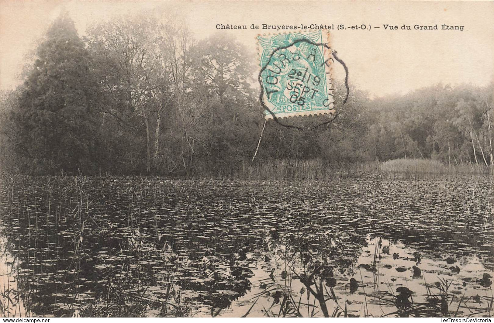 FRANCE - Bruyères Les Châtel - Vue Sur Le Grand étang Du Château - Carte Postale Ancienne - Bruyeres Le Chatel